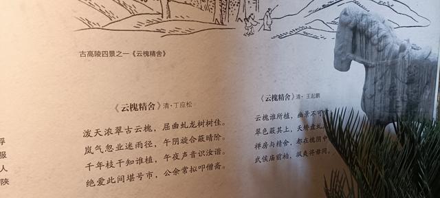 高陵昭慧塔文物展