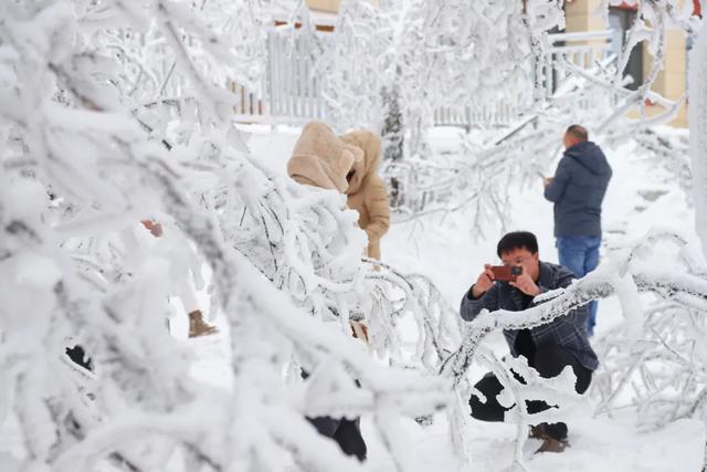 叮!龙头山秋日余额已不足!期待新一轮的冬雪到来~