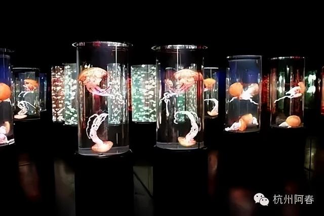 香港海洋公园