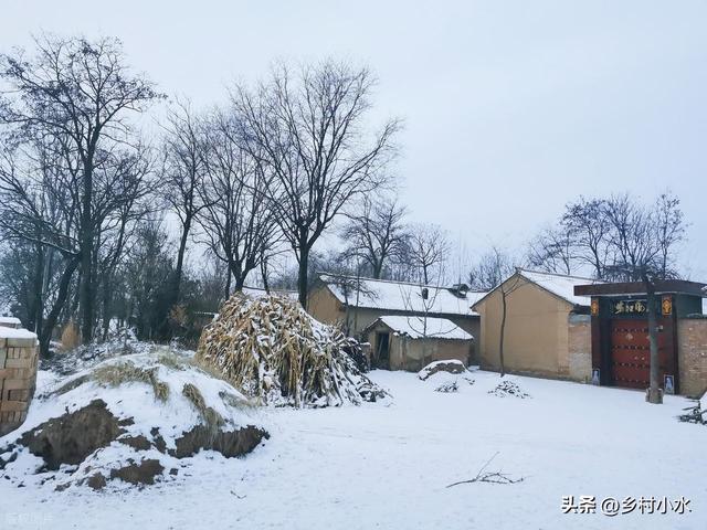 今日冬至，老人说“冷不冷，就看冬至”，今年冬天是暖冬吗？
