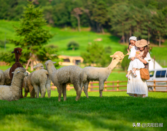 【视觉沈阳】沈阳周边私藏治愈系秘境→家门口的诗与远方