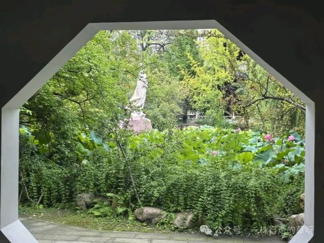 行走记｜李白故居行