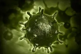 世界十大恐怖病毒，曾造成大规模死亡图片