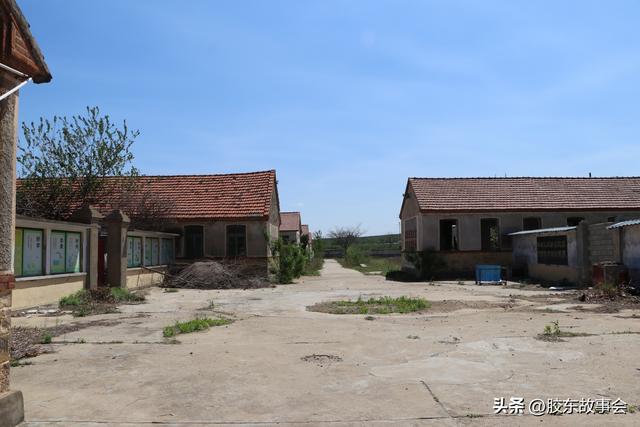 走进栖霞市桃村镇北楚留村，县志称当地有古墓，后来曾设有中学