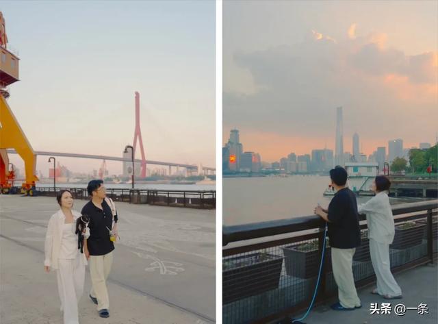 亲历行业寒冬,上海夫妻在老小区一楼改出80m²野地:治愈自己