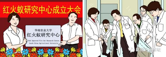80%以上的村民都被咬，围攻广东村庄的这个入侵物种究竟什么来头