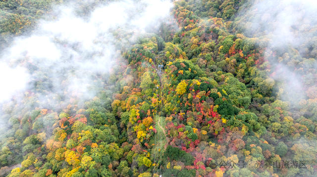 宝子你听我说，近期天气好、红叶美，光雾山可以冲了!