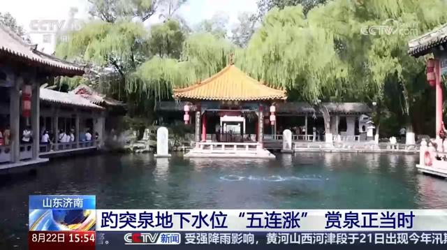 济南接连多次登上央视，靠的是什么？