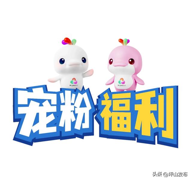 看完你的 看你的,坪山这片格桑花海承包你的秋日治愈感!