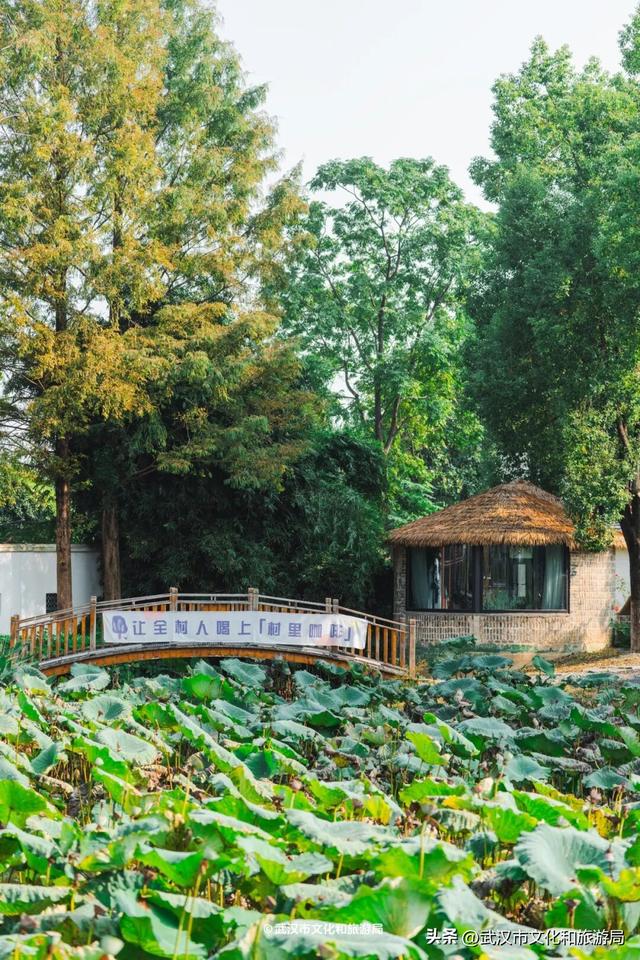 会玩的武汉人，都回村过秋天了