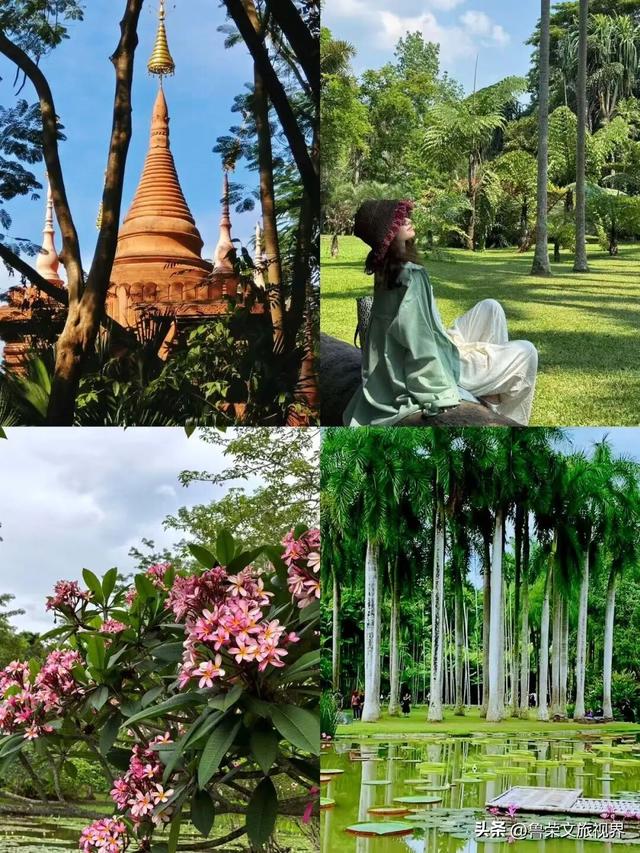 北回归线上的绿宝石：西双版纳的暖冬秘境