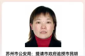 后续，苏州街头日本母子遇刺案，救人重伤的中国女子不幸身亡图片