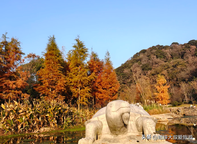 与灵隐寺“同龄”的千年古刹，秋冬不但色彩斑斓，更具古雅与佛韵