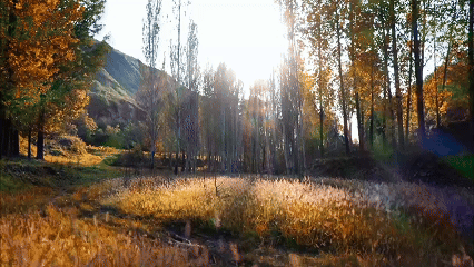 很多人没去过！渭南氛围感拉满的4个秘境