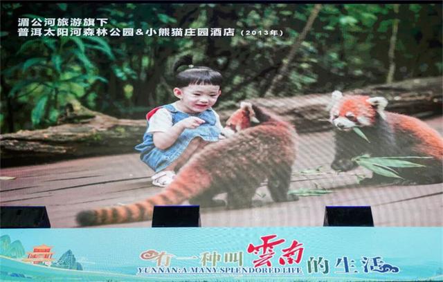 全国媒体达人云南行——走进湄公河旅游旗下项目 深度体验普洱文旅融合发展新成果