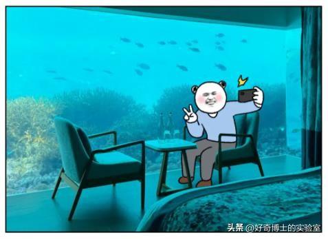 从一星级、二星级，到五星级、七星级酒店，究竟有啥区别？