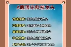 A股顶尖科技龙头公司（30家），以及央企人工智能公司（32家）图片