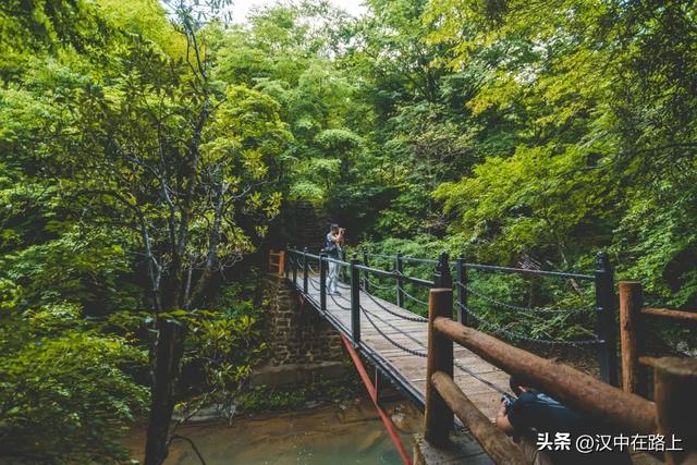 别把自己烤化了,赶紧去汉中黎坪享受22℃的清凉空调!