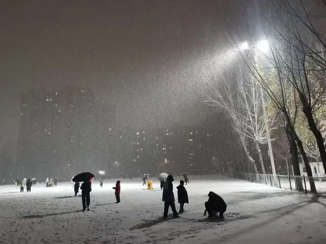 终于等到你！第一波济宁雪景大片来了！