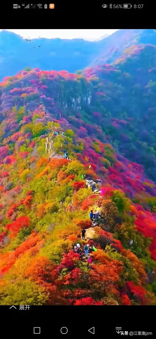 山野秋声