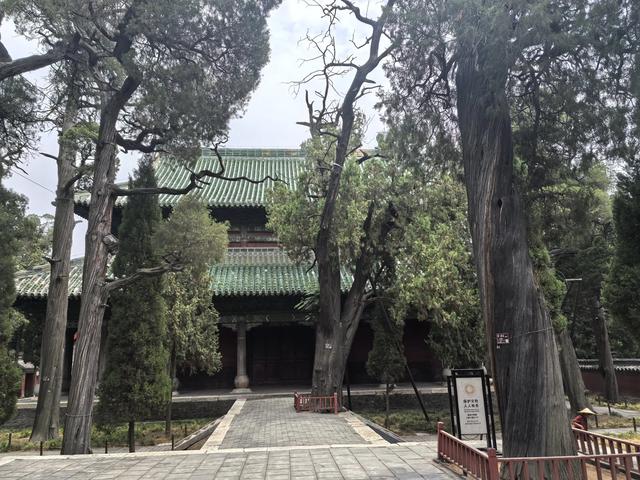 山东邹城游记