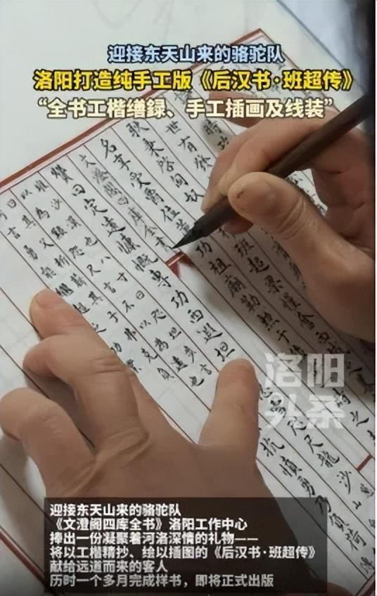 高接远迎丝路东行的33个驼峰，洛阳民间的自发行动