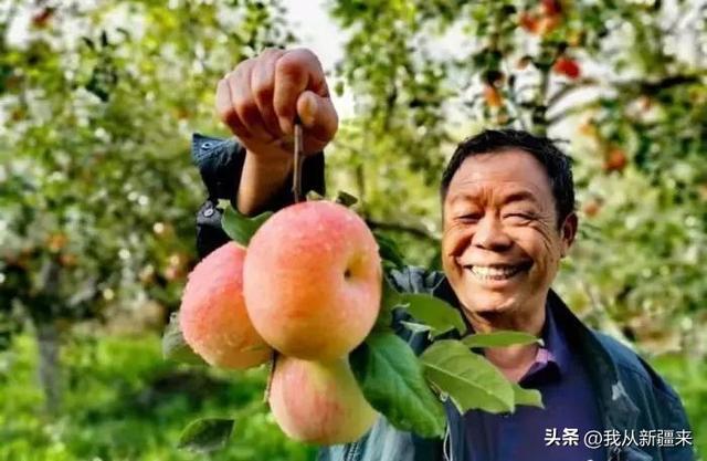 唉？你今天才知道新疆人会把客人宠成“家里人”吗？