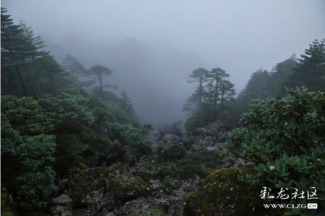 迷雾森林-探秘轿子山