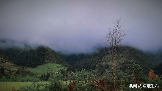 邂逅美丽大峪沟