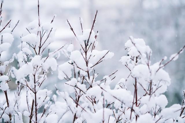 “最怕小雪是晴天”，今日小雪，晴天有啥预兆？看看农谚咋说