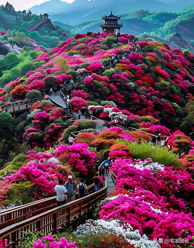 贵州8大5A景区全攻略:去过3个算合格,你是什么段位?