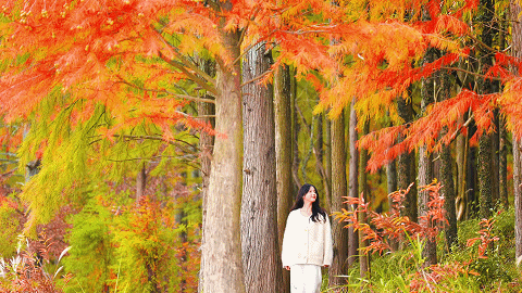 此心安处是黄山｜一位跑者的35场马拉松后，在徽州找到精神归乡 | 皖美冬日 | 第十五届安徽国际文化旅游节