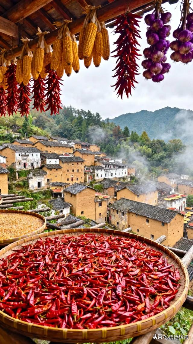 秋日私语:邂逅一场被时光遗忘的斑斓