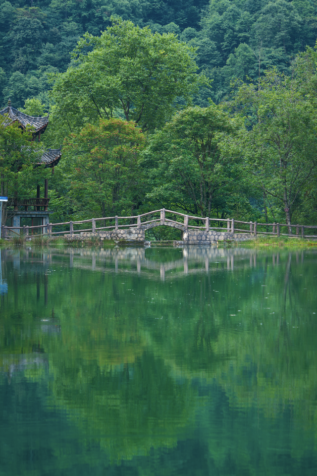 看小鹿！领“鸡蛋”！夏末秋初喇叭河就该这么玩！