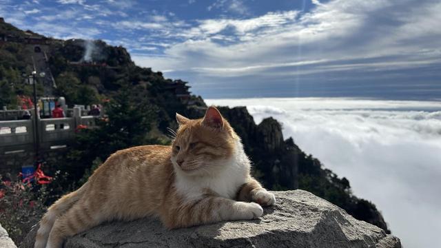 云海翻涌 宝光乍现 泰山秋日胜景引人沉醉