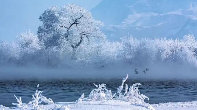 集安下雪了！这座小城变身冬日童话，拍照张张封神！