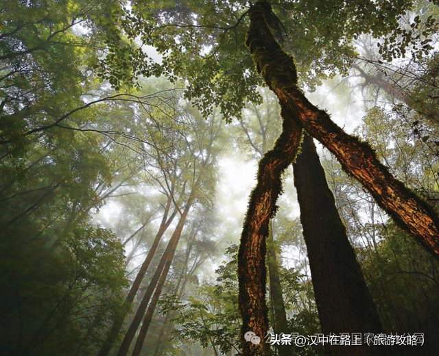 国庆与中秋节陕西五龙洞国家森林公园优惠多多，秋景惊彩呈现！