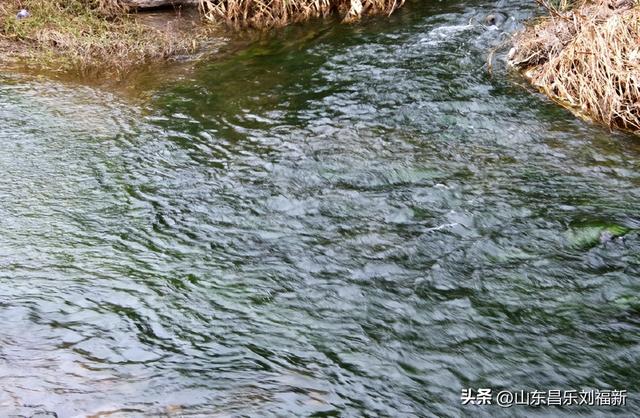 小丹河(老坝河水库西段)立冬那天的风光