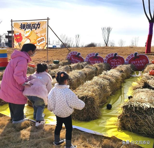 开年遛娃首选！东平湖流浪水世界暖冬亲子奇遇季，全家欢乐新去处！