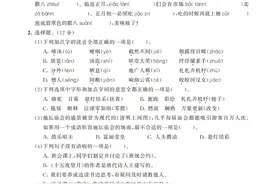 53全优卷——6年级下册语文 单元提优练习图片