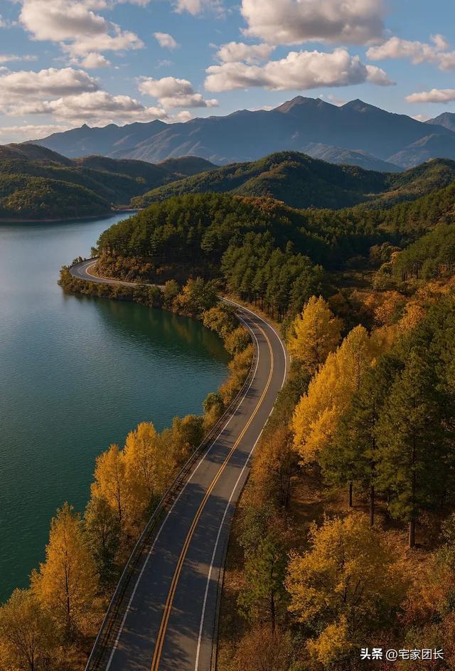 11月浙江要迎来最美的秋天 ,宁波余姚 • 四明山:银杏不输腾冲!