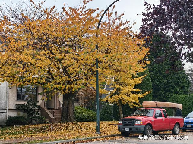 温哥华游记（五）