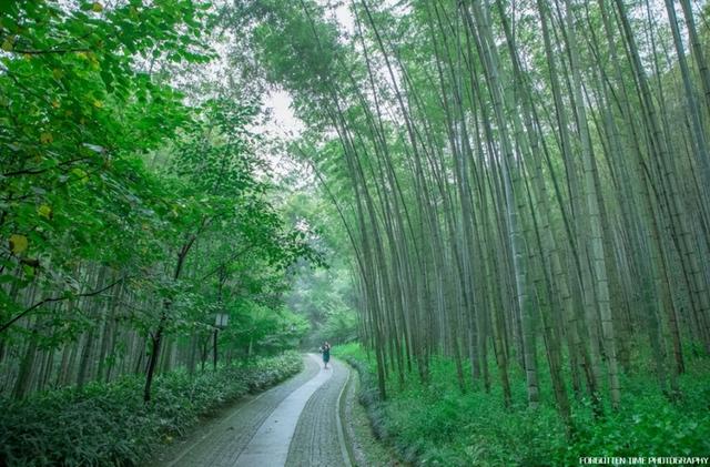 春节宝藏旅行地大赏：全家同行，让冬日暖意不留白