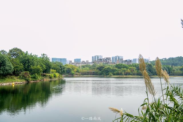 探访“广州北大门”，住进花园城区的中心，开启万豪万枫美好生活