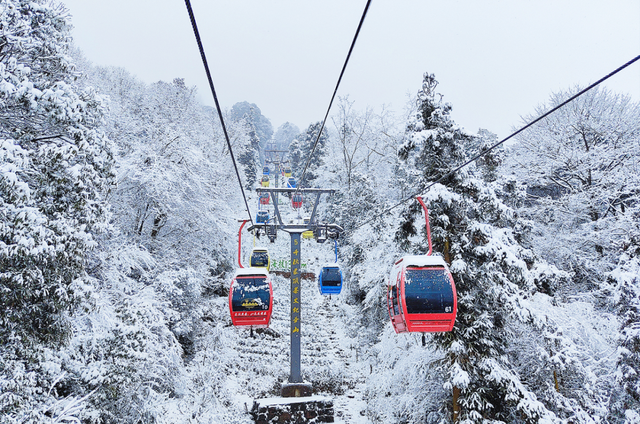 回答我，蒙顶山的雪景美不美？？