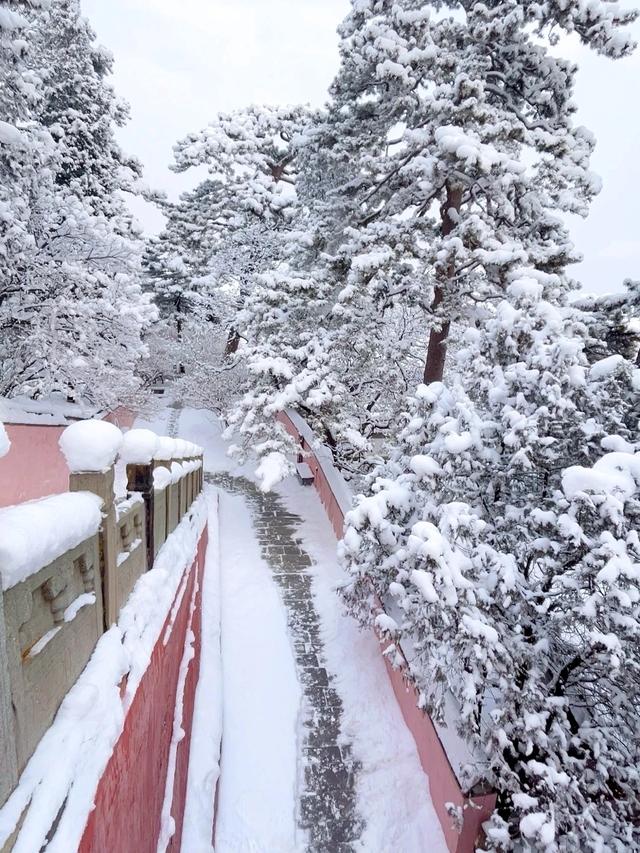 北京迎2026年第一场雪，踏雪寻梅年味渐浓