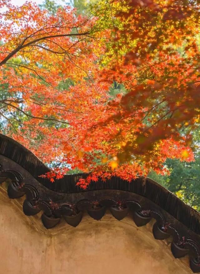 来虎丘山，这里有你更好看！