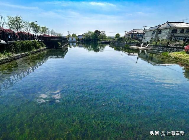 漫步河畔•贤美生活