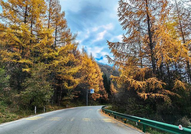 2024深秋四川行19 神农架风景区2 华中屋脊的五彩秘境