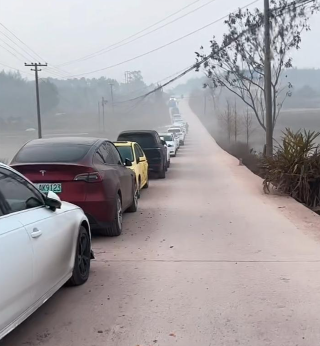 呆呆妹做梦没想到	，杀猪宴收官仅1天， 一家人就走上大衣哥的老路